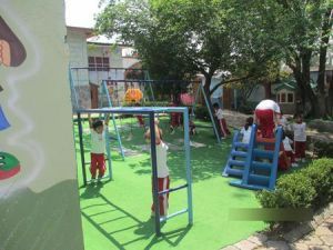 Servicios